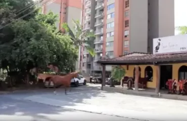 Blog-Talabartería-05